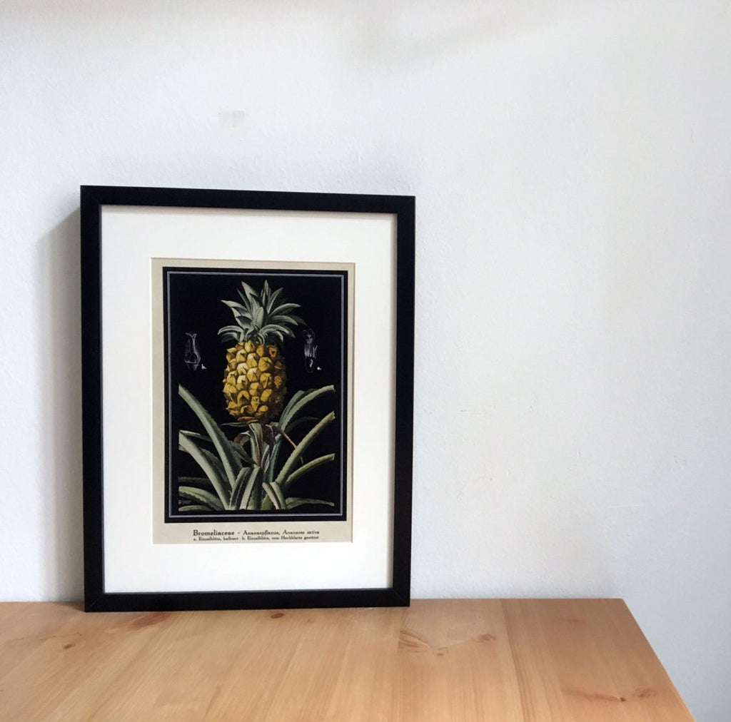 Pineapple Art Print