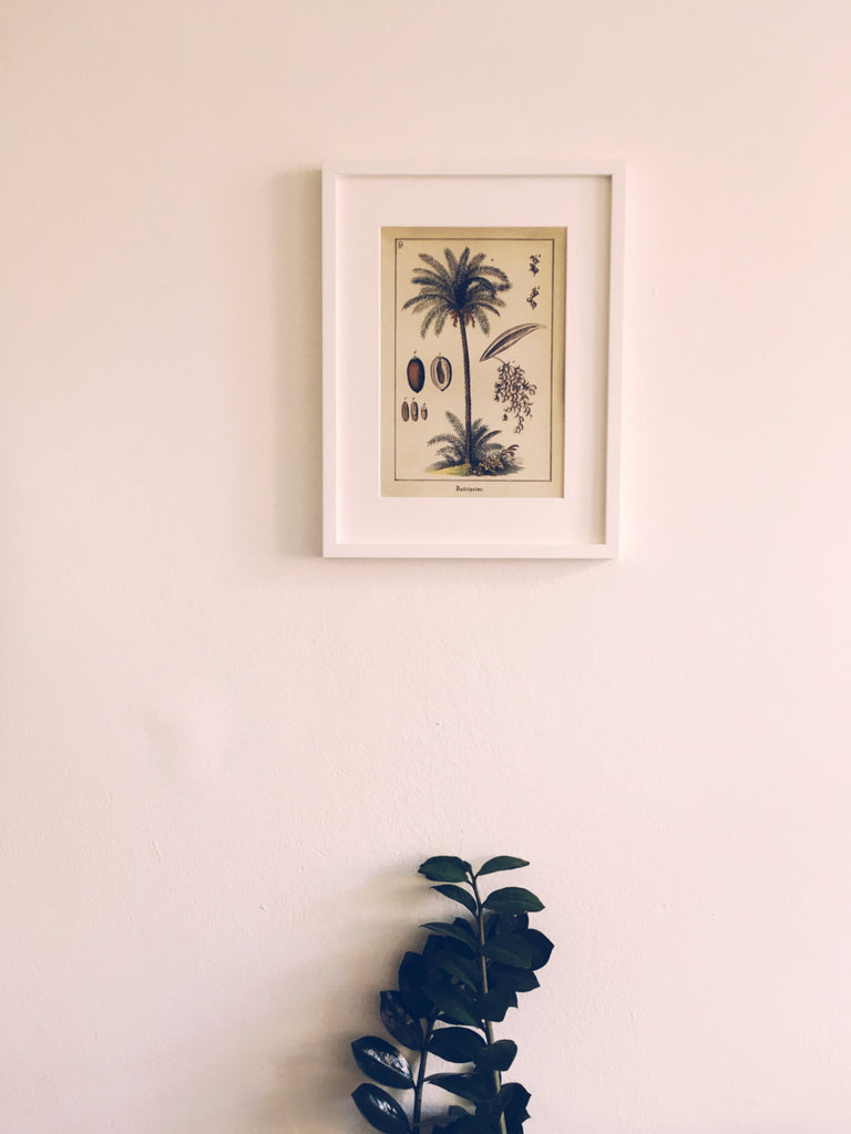 Date Palm Tree Art Print