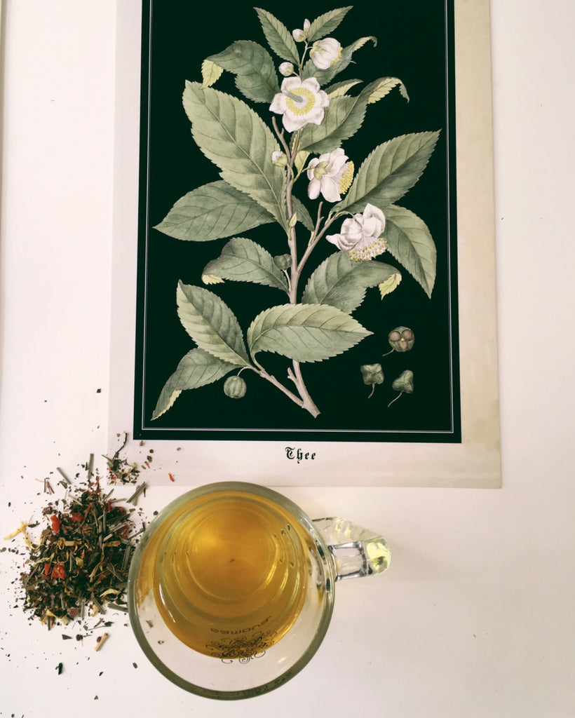 Tea Plant Art Print