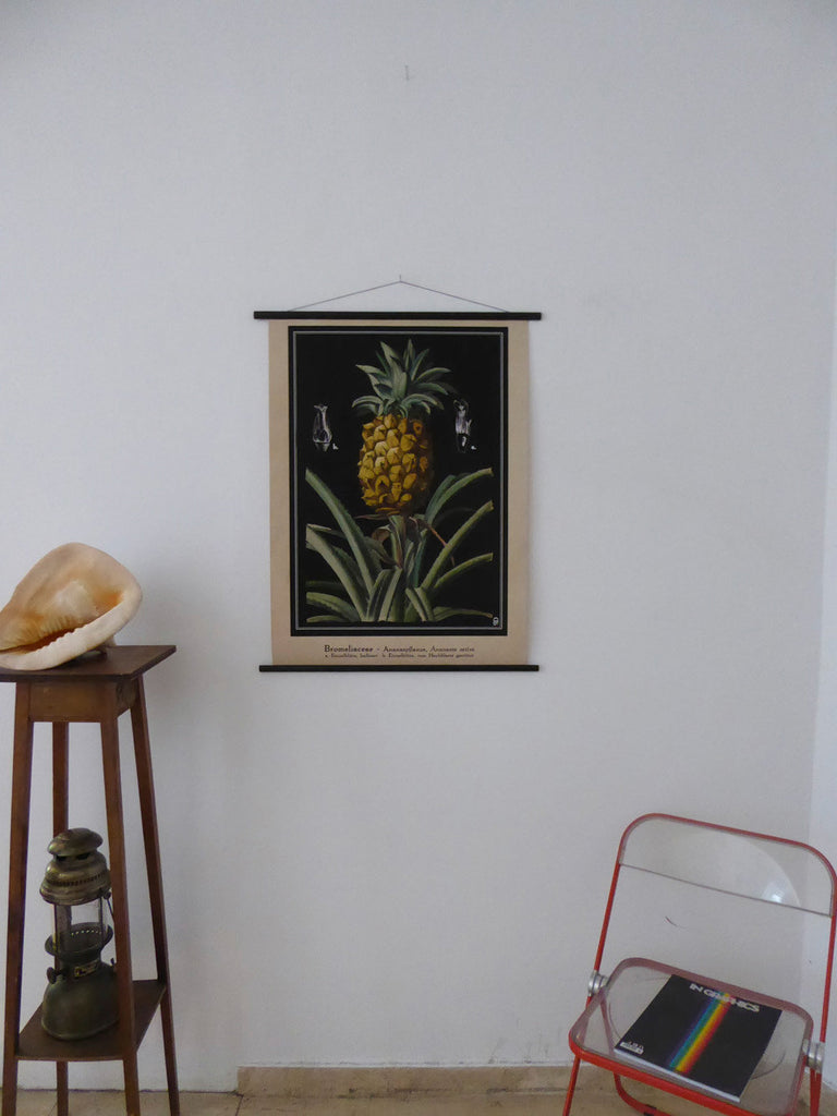 Large Pineapple Wall Chart