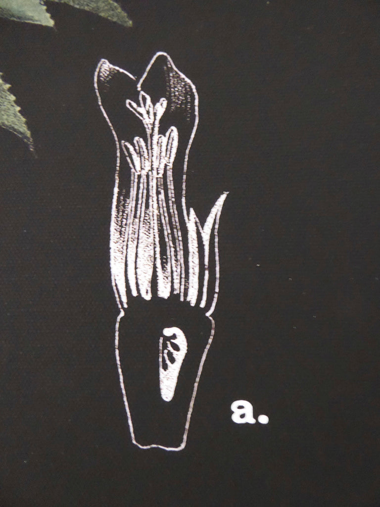 Large Pineapple Wall Chart