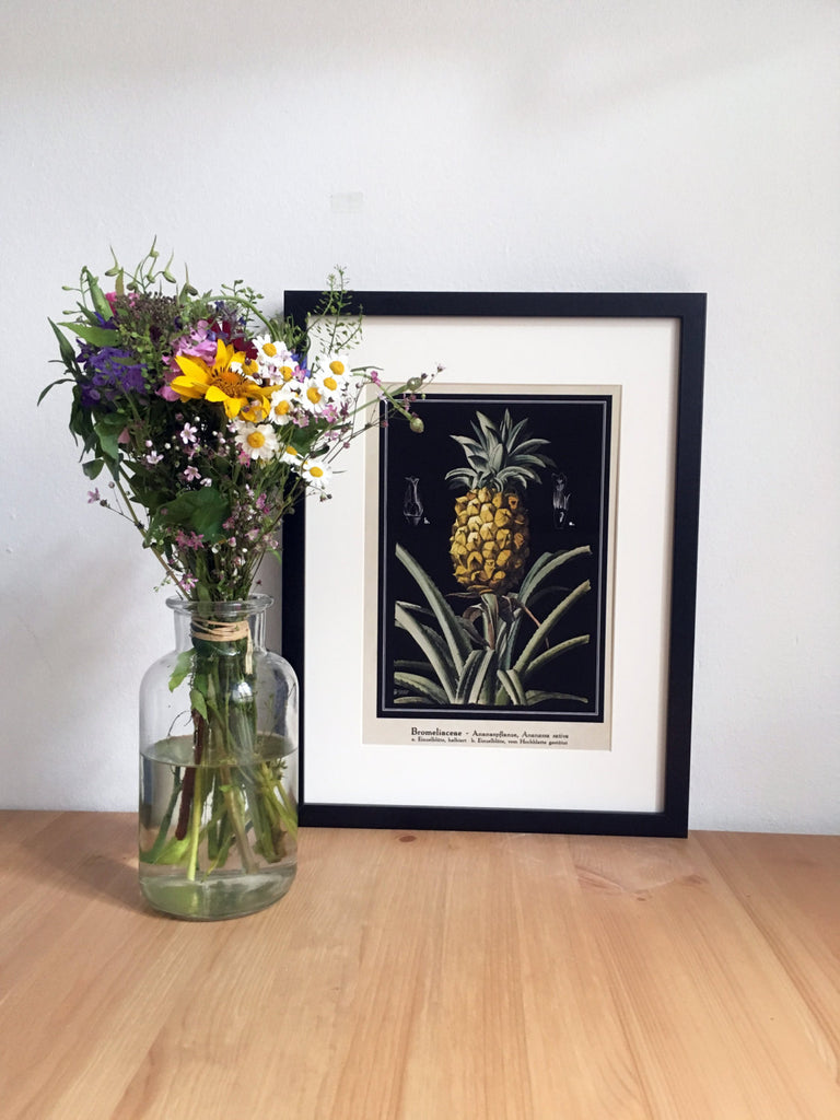 Pineapple Art Print