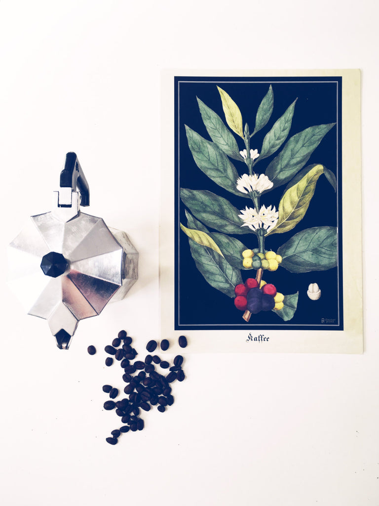 Natural Coffee Art Print