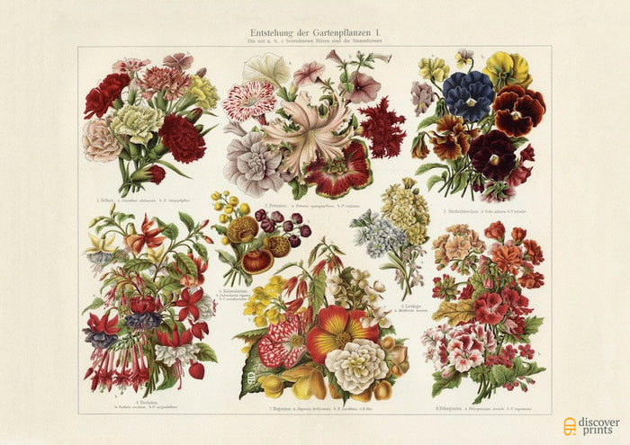 Assorted Blossoming Flowers - Botanical Art Print