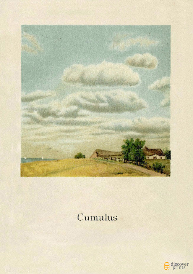 Cumulus Cloud Art Print