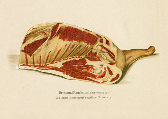 Pork Ribs & Belly Art Print