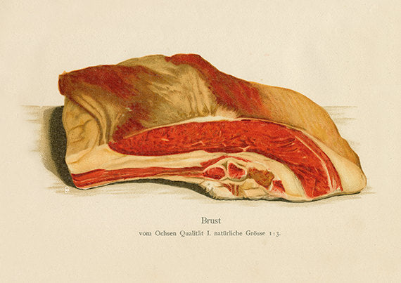Pork Short Ribs Meat Art Print