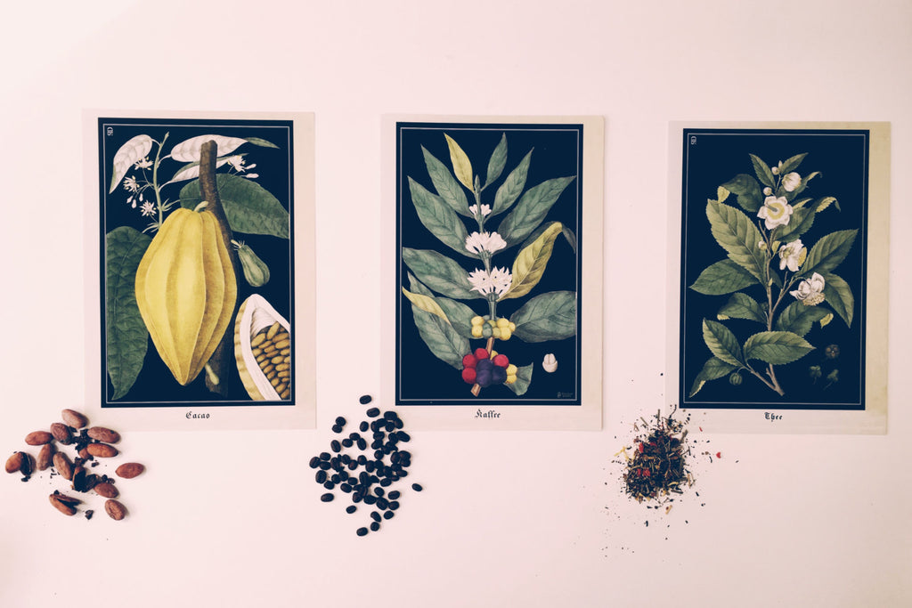 Tea Plant Art Print
