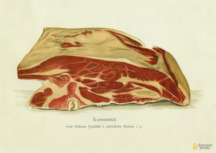 Pork Chine - Meat Art Print